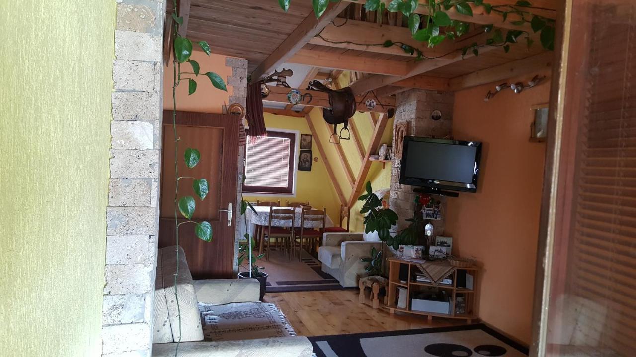 "Athos"Apartment Potkrovlje วิเชกราด ภายนอก รูปภาพ