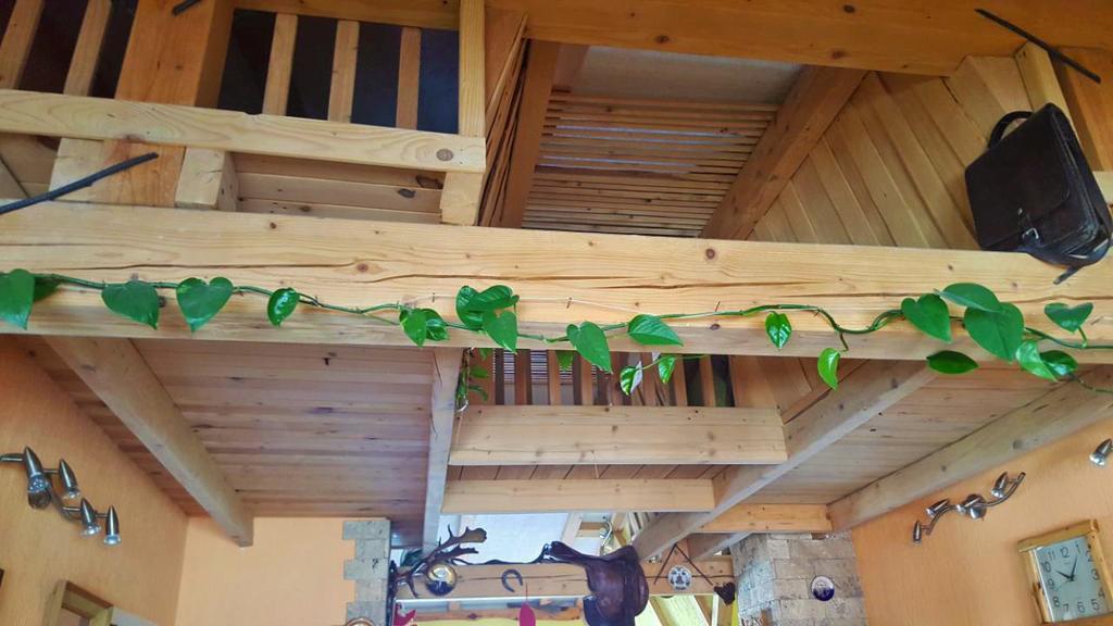 "Athos"Apartment Potkrovlje วิเชกราด ภายนอก รูปภาพ